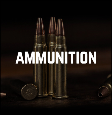 Find Ammunition